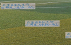申花老手，大場(chǎng)面經(jīng)驗(yàn)豐富，曾挖厄德高，今又尋米內(nèi)羅。