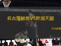 名古屋鯨魚VS新潟天鵝
