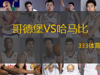 哥德堡VS哈馬比