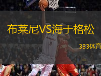 布萊尼VS海于格松