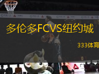 多倫多FCVS紐約城