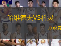 哈維德夫VS科靈