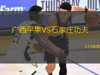 廣西平果VS石家莊功夫