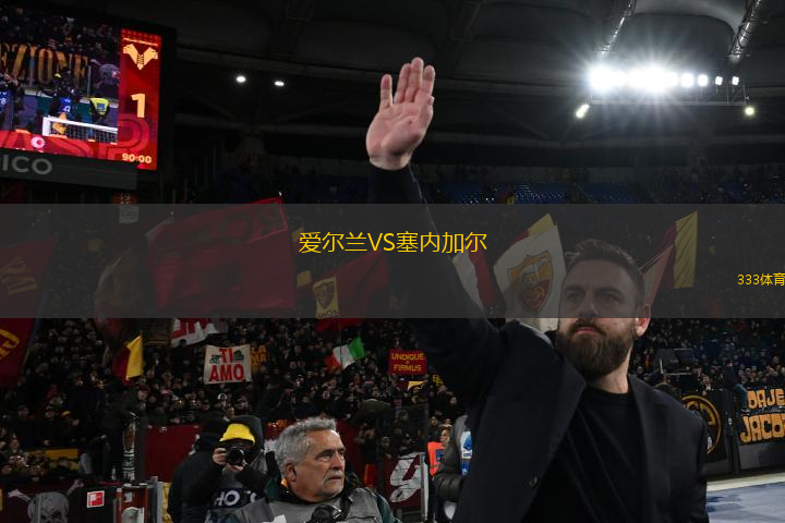 愛爾蘭VS塞內(nèi)加爾