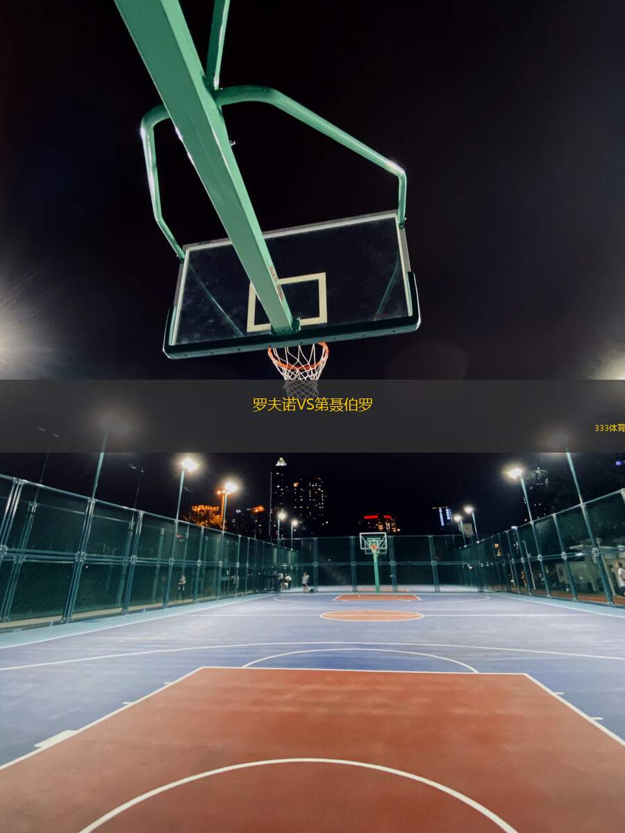 羅夫諾VS第聶伯羅
