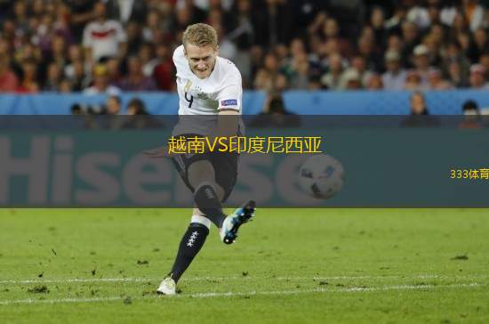越南VS印度尼西亞