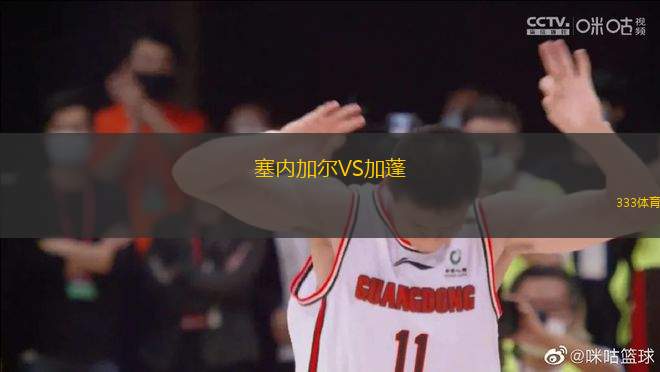 塞內(nèi)加爾VS加蓬