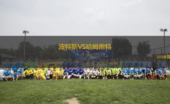 波特斯VS哈姆雷特