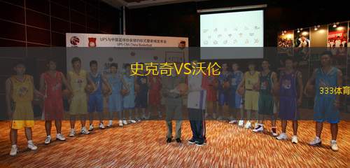 史克奇VS沃倫