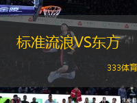 標準流浪VS東方